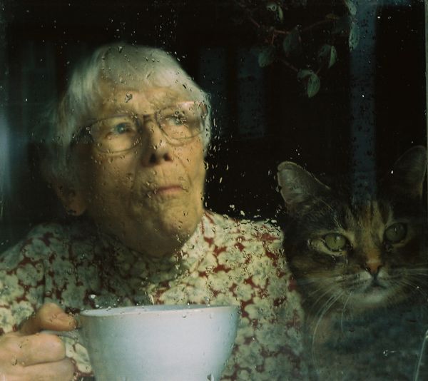 Grandma and Cat on a Rainy Summer Day thumbnail