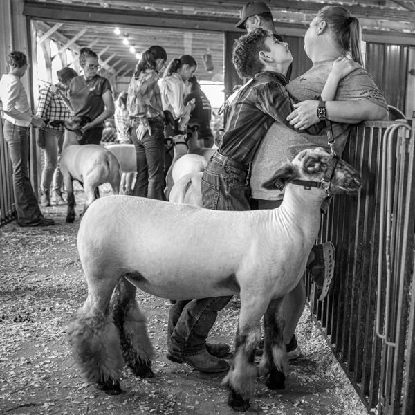 Backstage at the Sheep Show thumbnail