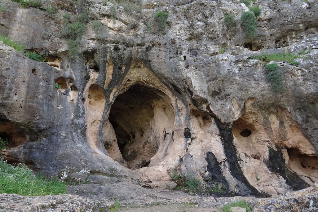 Skhul cave seen from the outside