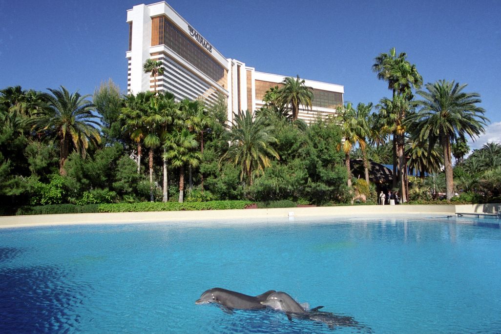Two dolphins in a pool in front of the Mirage