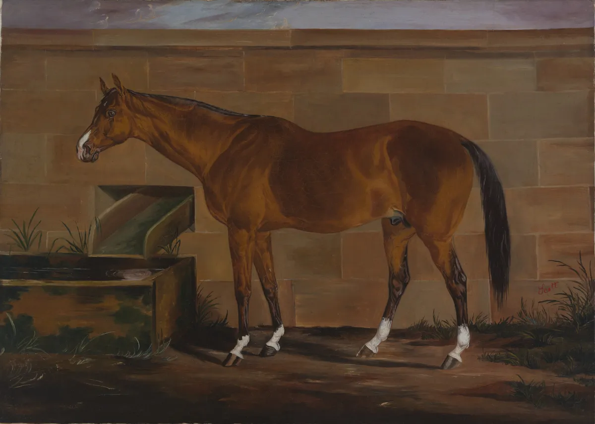 70年代 イギリスの競走馬 雑誌「The British Racehorse」 洋書