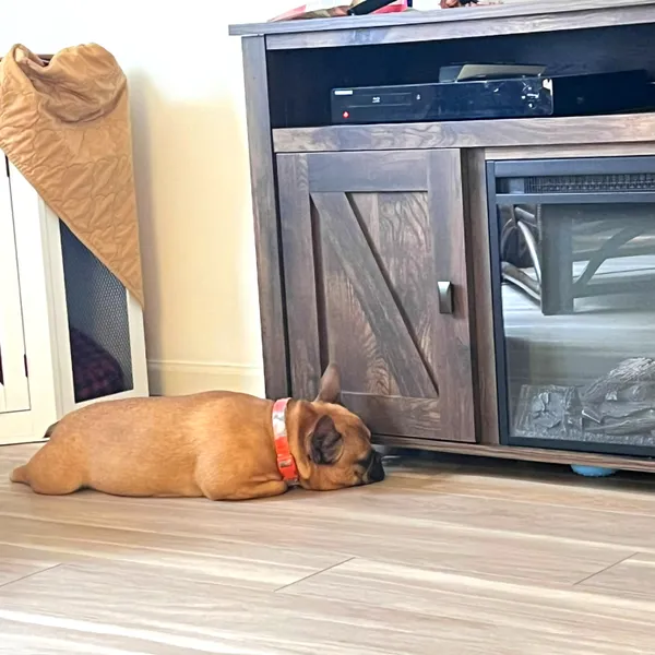 Mission: Retrieve the Blue Toy thumbnail