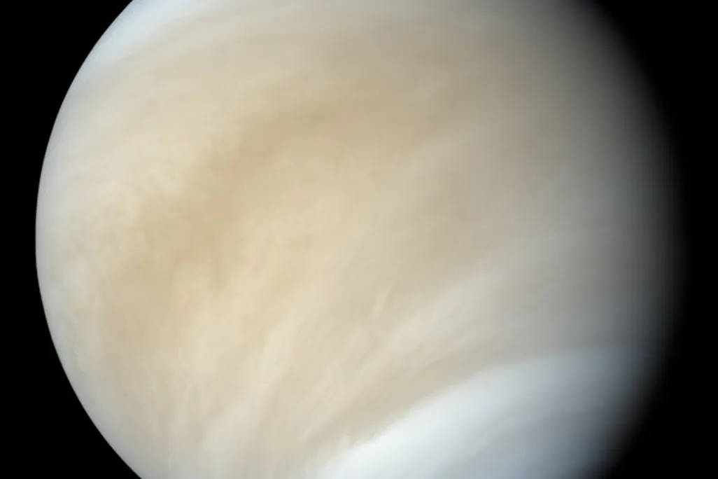 20111212122013Venus.jpg
