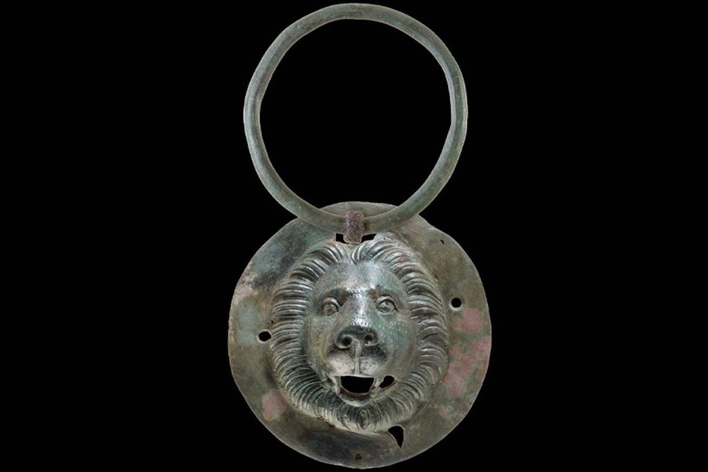 ringed head