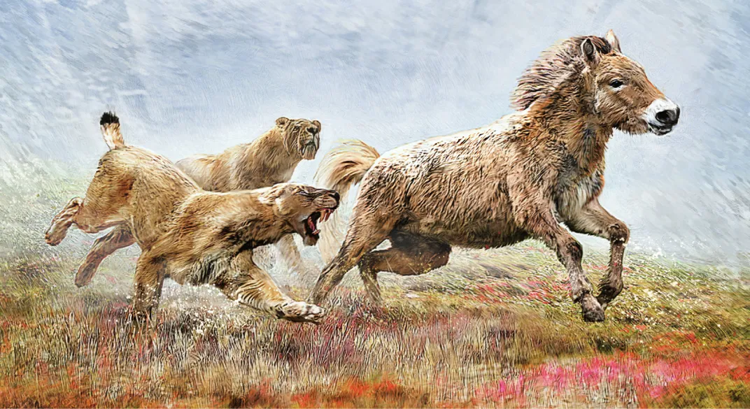 illustration of scimitar cats chasing a wild horse