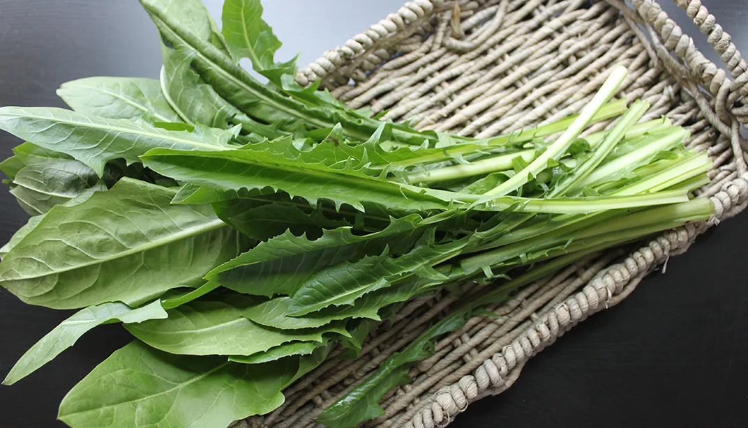 What the Heck Do I Do with Dandelion Greens? 