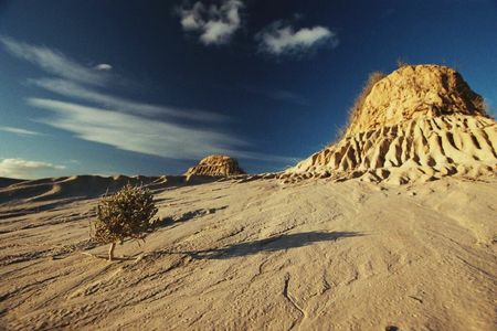 The ancient remains of 108 Aboriginal individuals were exhumed from the Lake Mungo and Willandra Lakes region between 1960 and 1980.