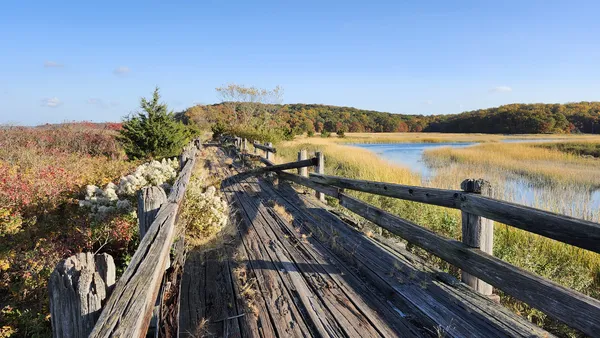 The "boardwalk" (Plank Road), Caumsett State Park. thumbnail