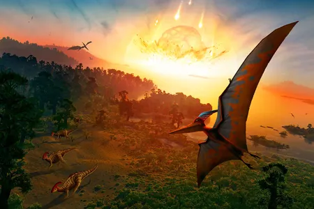 Although the asteroid strike that created Chicxulub crater in modern-day Mexico dramatically affected life on Earth, the fiery crash isn't the whole story of the fate of the dinosaurs. 