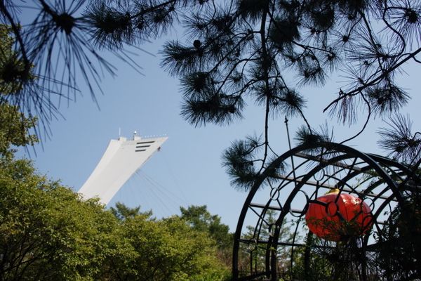 Montreal Olympic Stadium seen from the Botanical Garden thumbnail