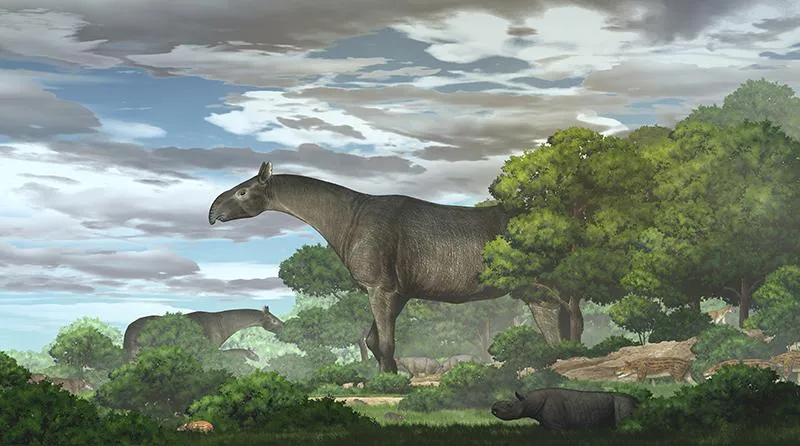 An artist representation of what a giant rhino may have looked like within its ecosystem during the Oligocene era