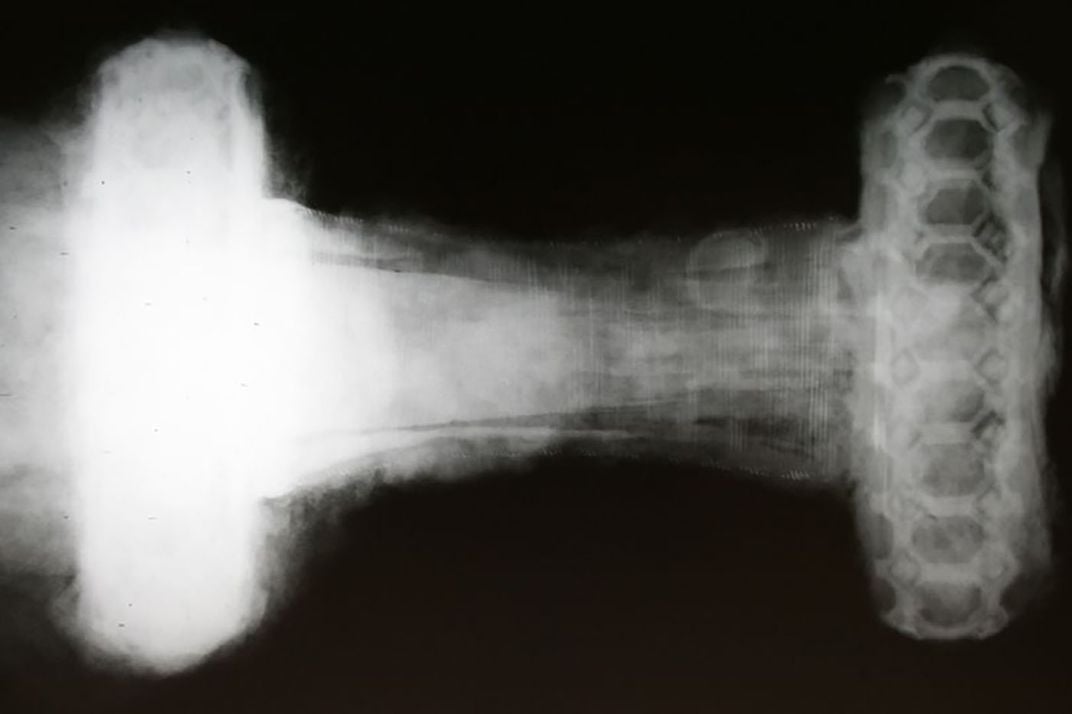 x-ray of sword hilt shown in black and white with visible circular patterns