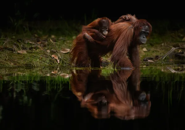 Between Two Worlds thumbnail