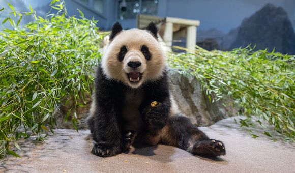 20241023-817A7167-02RP-qing-bao.jpg