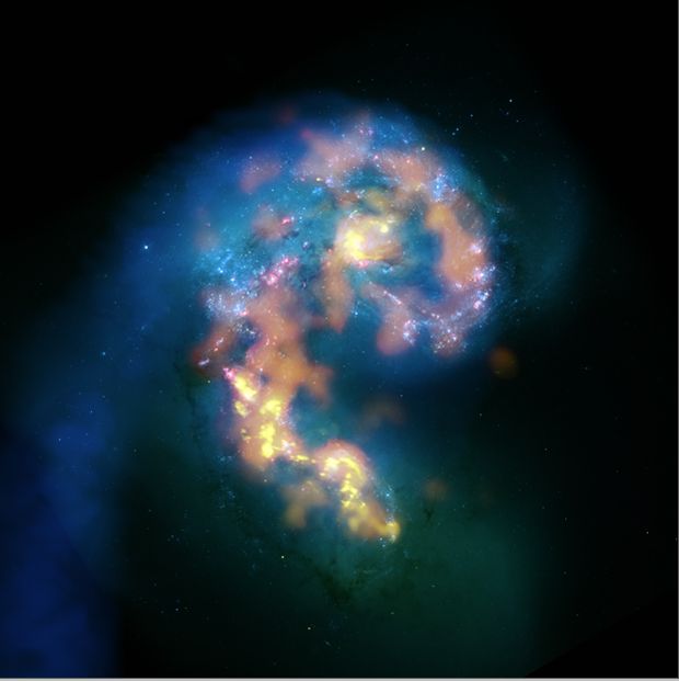 ALMA-first.jpg