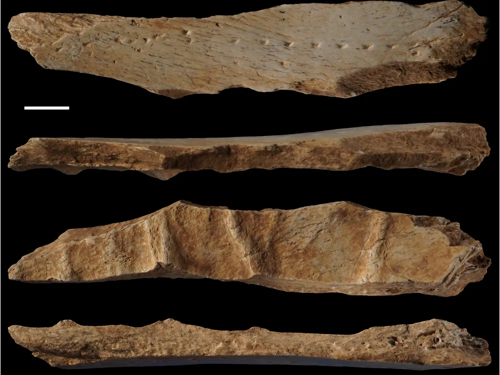 Four different angles of the bone fragment