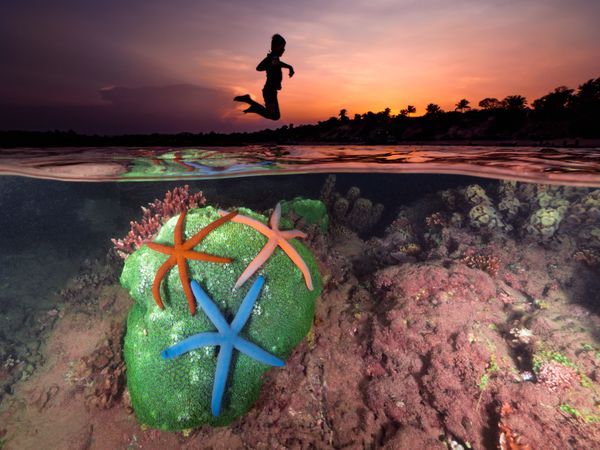 Ocean Joy thumbnail