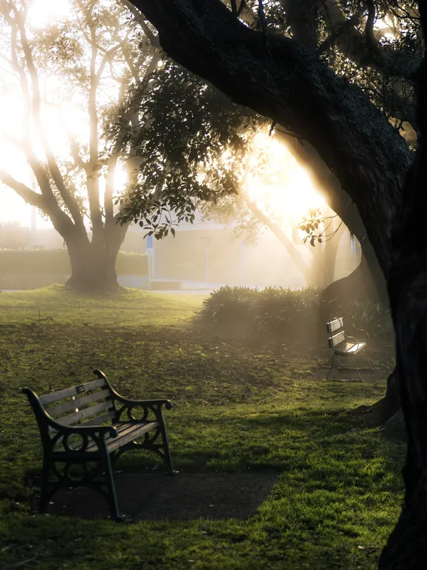 Morning Mist and Empty Benches thumbnail