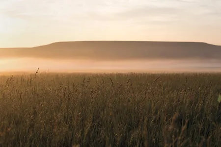 Early morning fog drapes a field in the Flints Hills of Kansas.