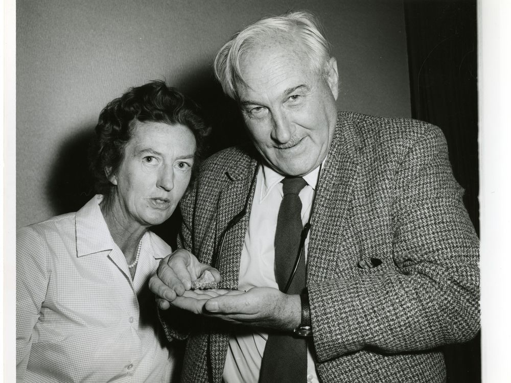 Mary Leakey’s Husband (Sort of) Took Credit For Her Groundbreaking Work ...