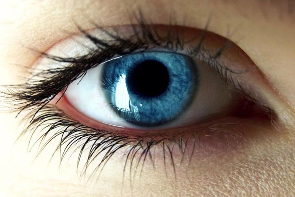 Eye Pupil 