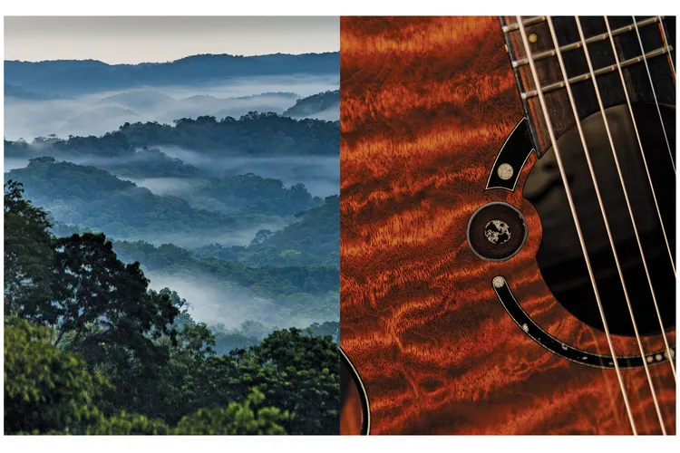 Opener - Letterboxed - jungle and guitar