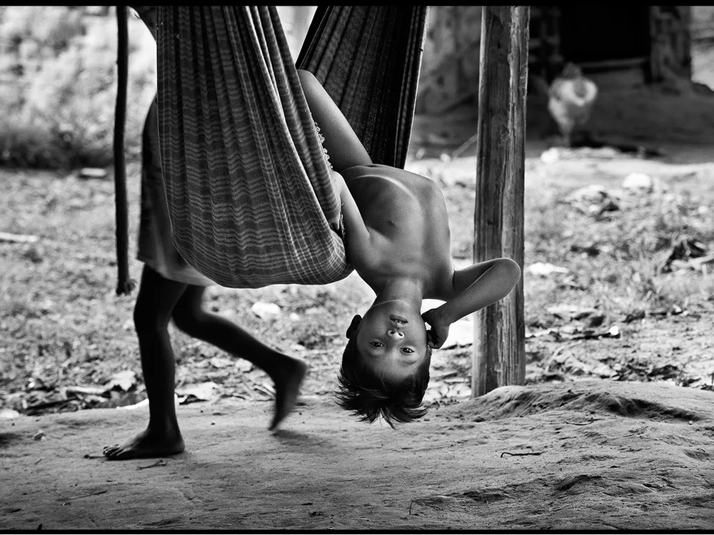 Sebastião Salgado Has Seen the Forest, Now He's Seeing the Trees
