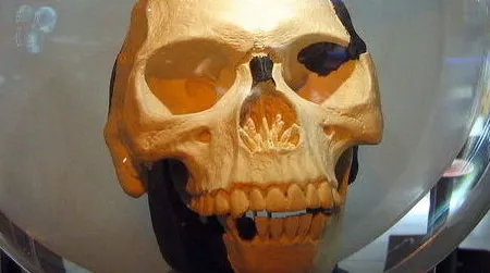 A replica of Piltdown Man