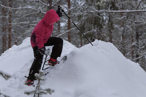 Snowshoer thumbnail