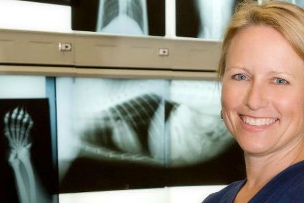 Suzan Murray, Chief Veterinarian at the National Zoo