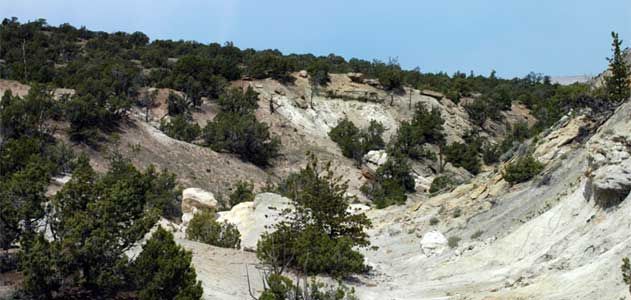 A view of the outcrop