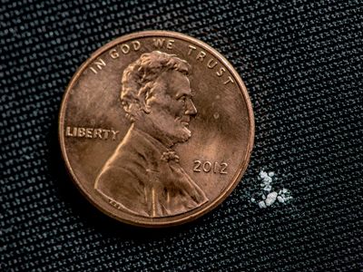 A 2 mg dose of fentanyl (as seen in comparison with U.S. penny) proves lethal for most individuals