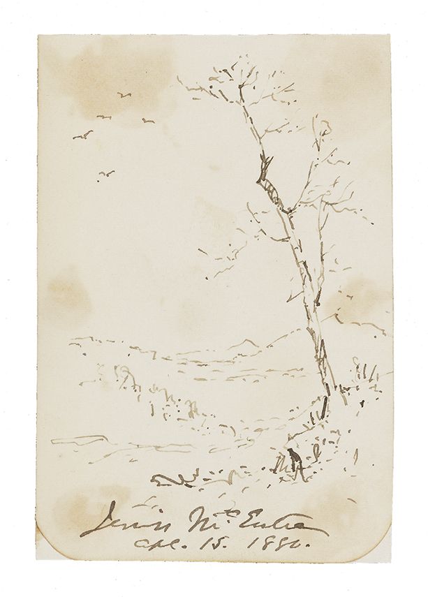 Small, vertically-oriented ink sketch by Jerves McEntee with grass and a tree whose leaves have fallen in the foreground. Mountains can be seen in the distance and five birds are in the sky to the left of the tree.