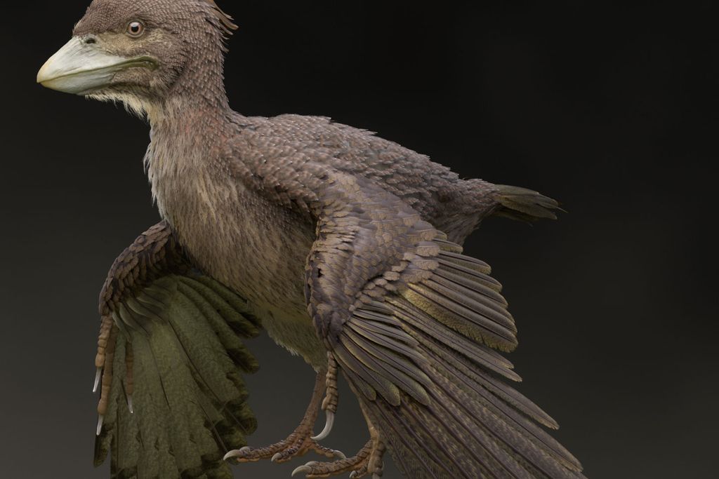 Bird Dino