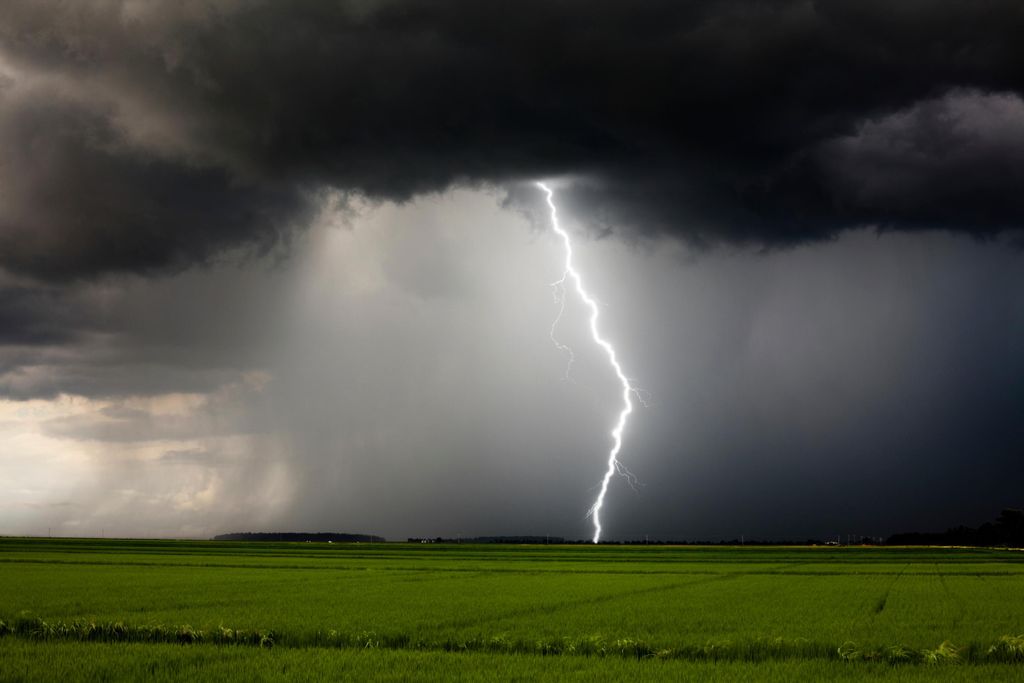 iStock_000025872037_Large.jpg