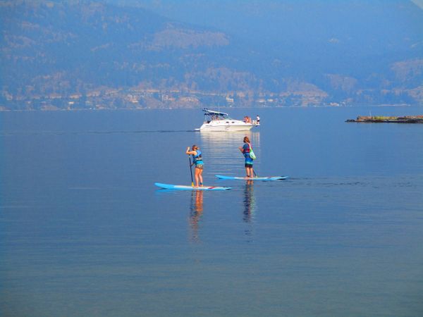 PADDLE BOARDERS thumbnail