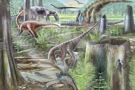 The Evolution of Terrestrial Ecosystems working group combines expertise from paleontologists and ecologists to improve our understanding of ancient and modern ecosystems. (Mary Parrish, Smithsonian)