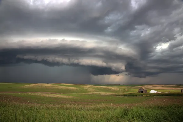 Storm chasing thumbnail