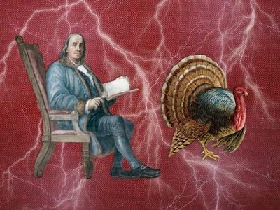 Franklin believed a turkey killed with electricity would be tastier than one dispatched by conventional means: decapitation.