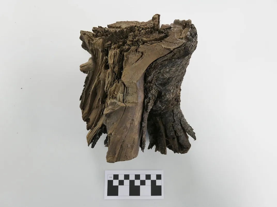 Wood Sample From Viking Settlement