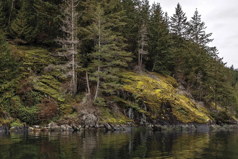 QuadraIsland_LFO