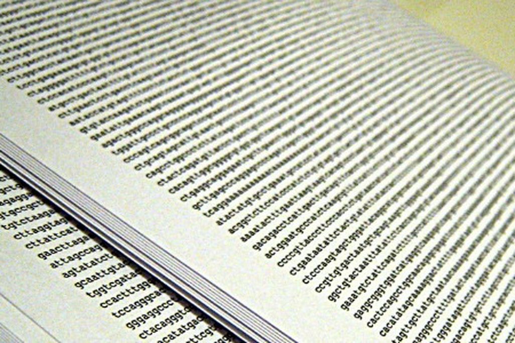 A human genome, printed