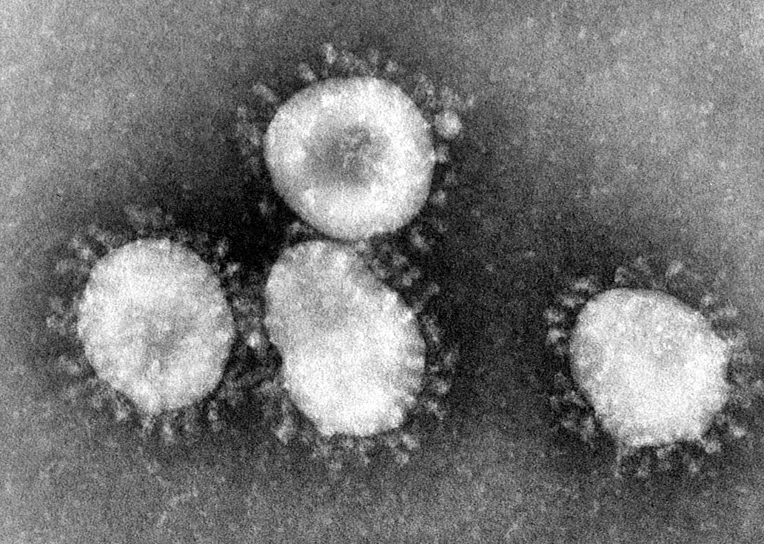 Image of coronavirus under a microscope