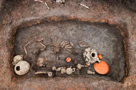 A bent metal rod discovered in the grave was likely a dog toy.