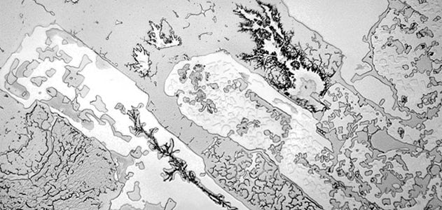 Structure of tears influenced by what makes us cry