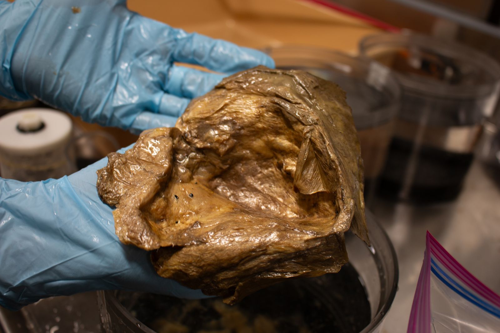 Scientists Found This Mysterious Golden Orb on the Seafloor Nearly Three Years Ago. Now, They Finally Know What It Is