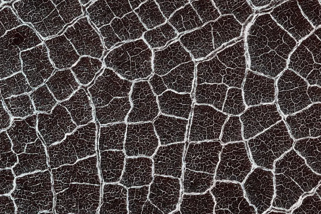 Mars polygons.jpg