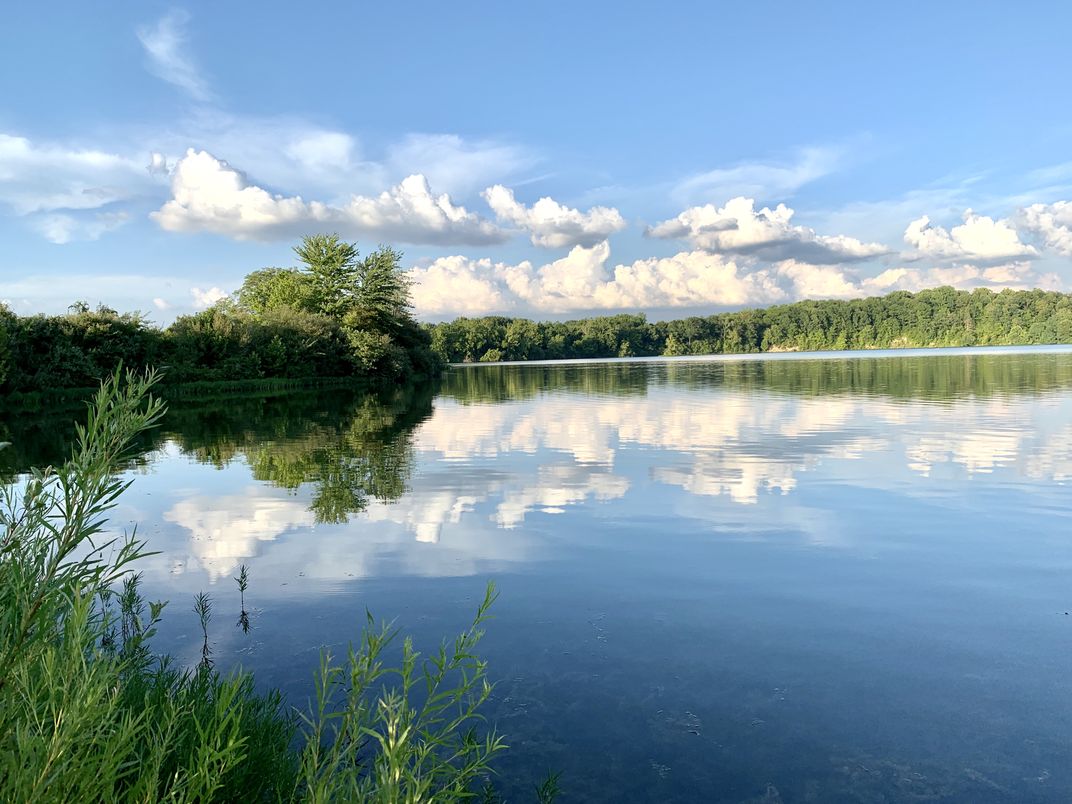 Eagle Creek Park Bird Sanctuary Trail | Smithsonian Photo Contest ...