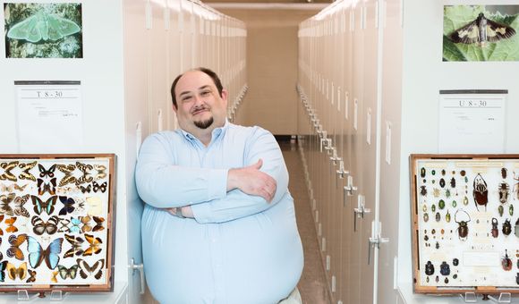 Entomologist and Collections Manager Dr. Floyd Shockley cares for the 35 million specimens in the Entomology Collection at the National Museum of Natural History. He also studies the diversity, natural history and evolution of fungus feeding beetles. (Donald E. Hurlbert, Smithsonian)