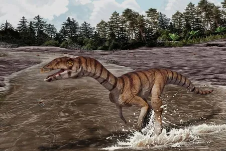 An artistic rendering of Labrujasuchus expectatus